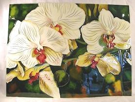 HPT0019-White Orchids (click on pictures for full description)